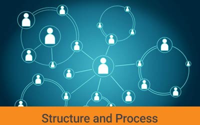 The Field of Structure and Process